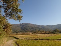 20191116.jpg